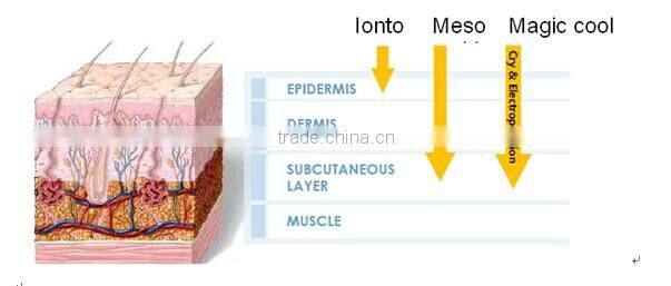 2015 Hot sale HS-570 CE certificate approval Electroporation
