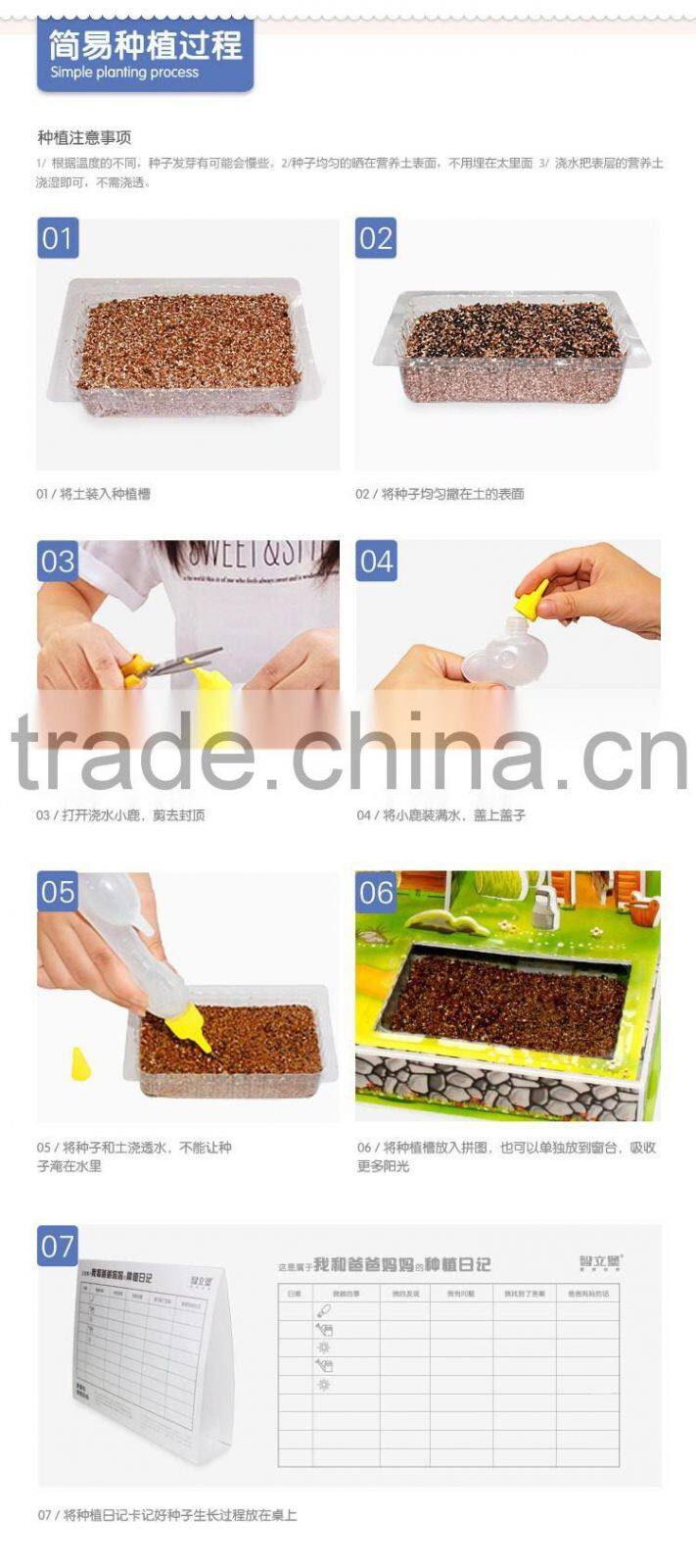 3D Jigsaw puzzle Model Sweet Home With Planting flowers