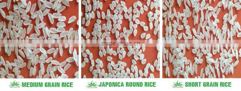 MONGOLIA JAPONICA ROUND RICE - CROP 2016 - CHEAPEST RICE - CURRENT RICE