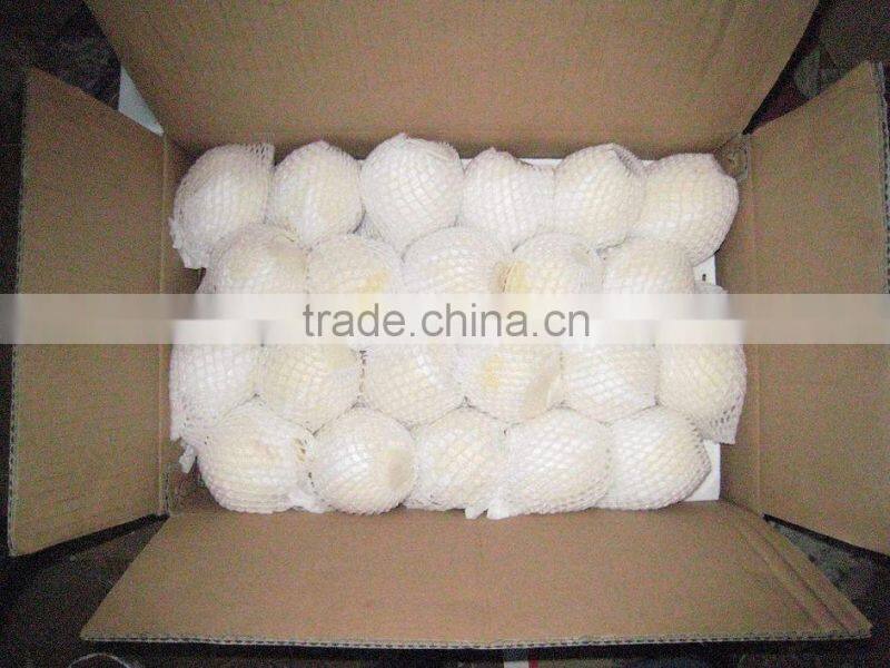 Chinese Golden Pear 9kg 18kg Carton