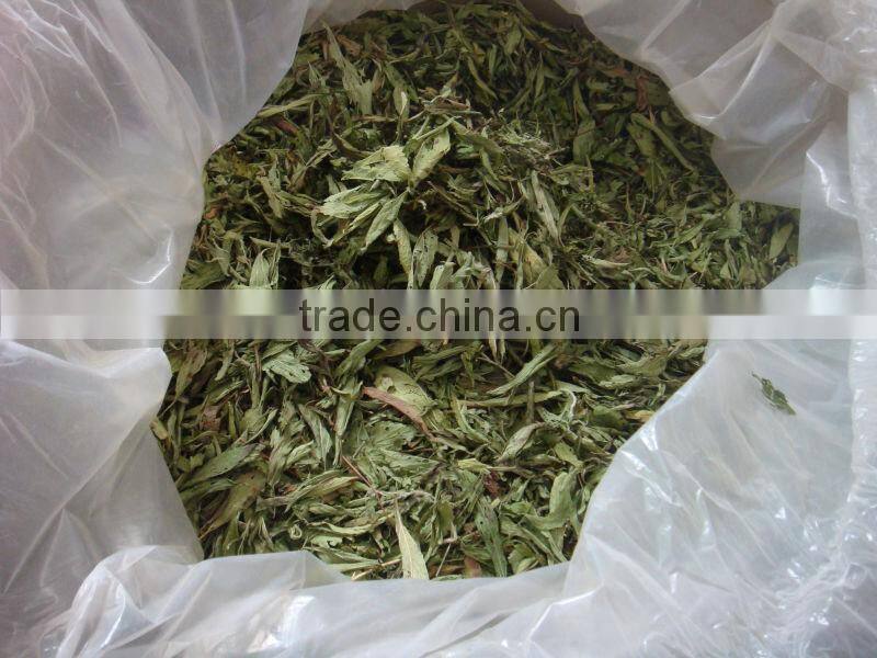 Dried stevia leaves