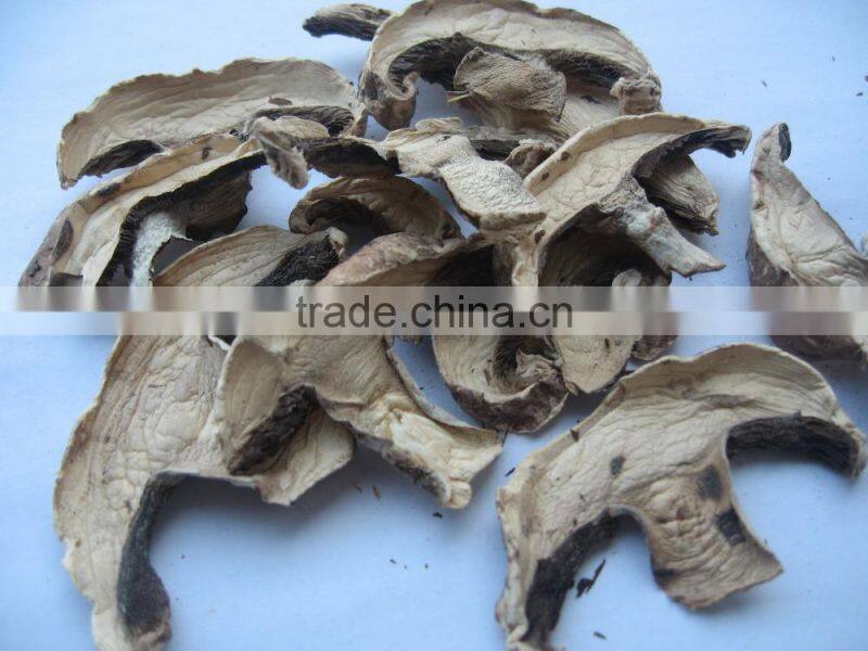 Alibaba buy now market prices for mushroom products made in asia