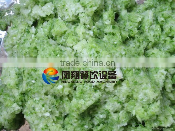 Indrustrial Garlic Grinder Crusher Machine, Garlic Presses Machine