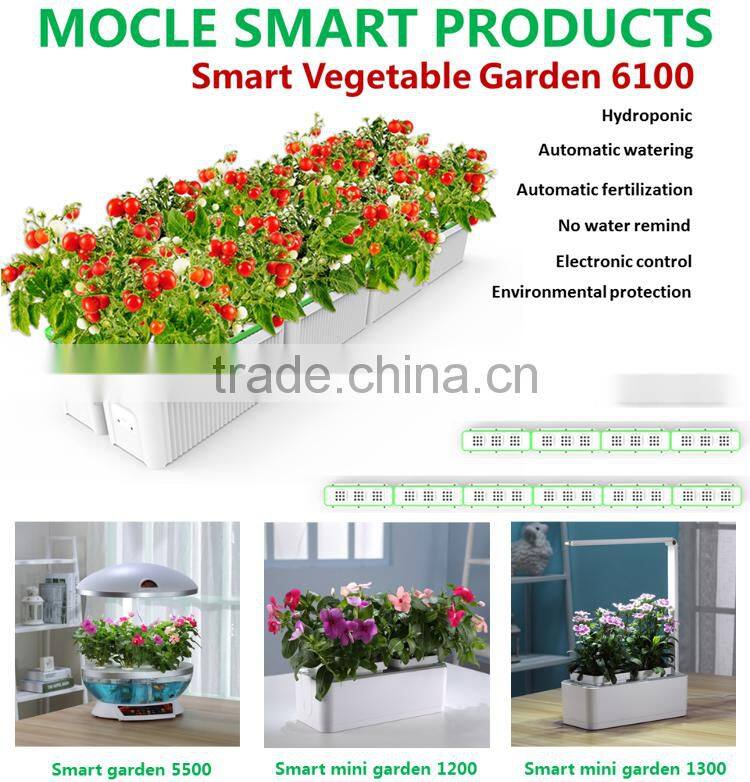 mini usb fish tank aquarium