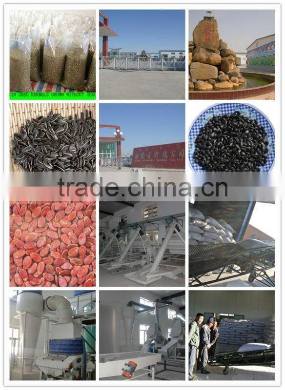 Good quality Watermelon seed Kernels