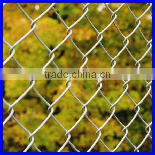 DM professional hot dipped galvanized Chain Link Fence from Chinese factory