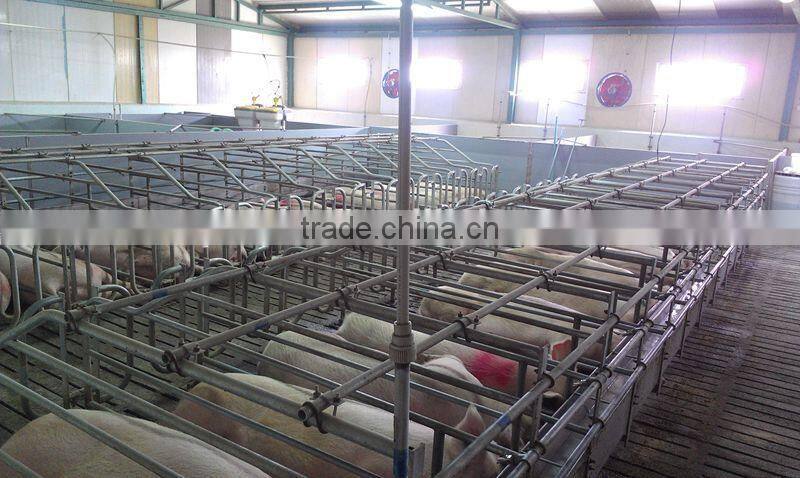 Good Quality Pig Gestation Stall Crate For Livestock Pen