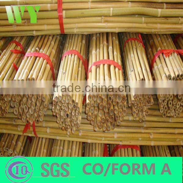 WY-221High quality bamboo poles bamboo canes bamboo stakes in raw materials for agriculture