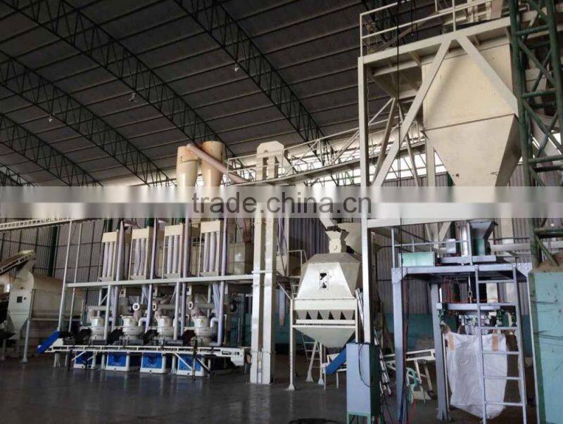 hot sales in malaysia complete pellet production line/ wood and straw pellet production line