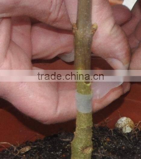 2015 new Omega grafting machine/grafting machine tool /grafting scissor