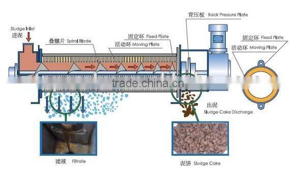 24 hours continuous work screw filter press for activated sludge deewatering