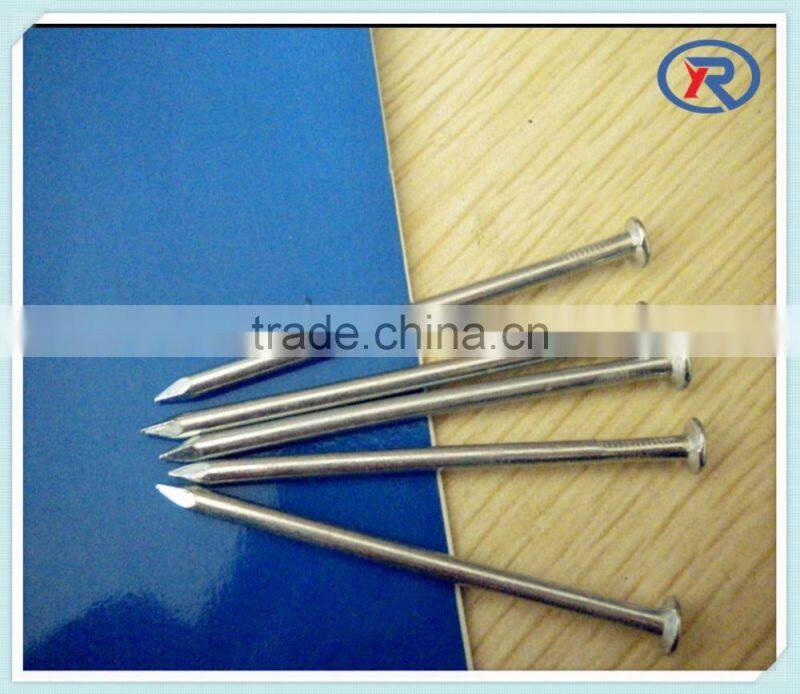 Electro-galvanized common building nails common wire iron nail