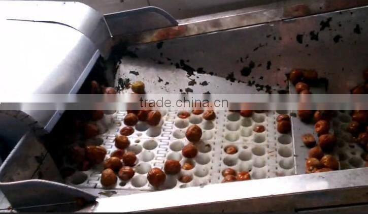 apple chips production line