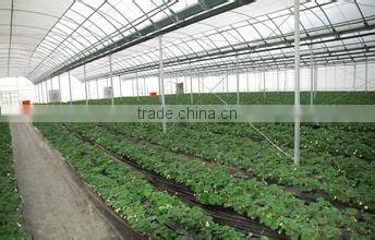 galvanized steel pipe