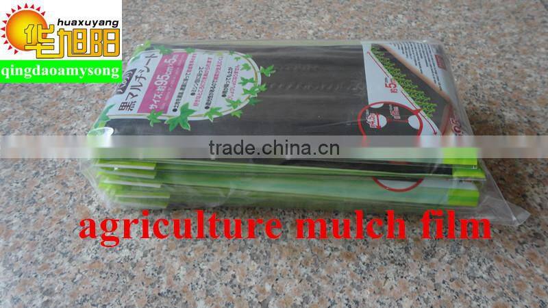 Qingdao huaxuyang supply 3 layers Blow molding perforated agricultural polyethylene sheet