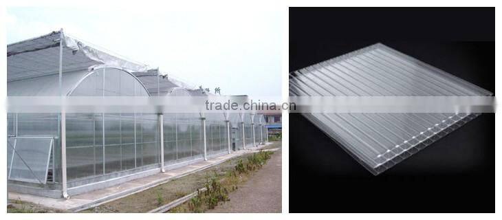 Multi-Span Agricultural Commercial Greenhouses Type and PC Sheet Cover Material Tunnel with Polycarbonate