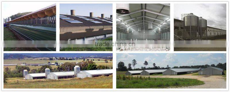 BT factory chicken farming for broiler chicken