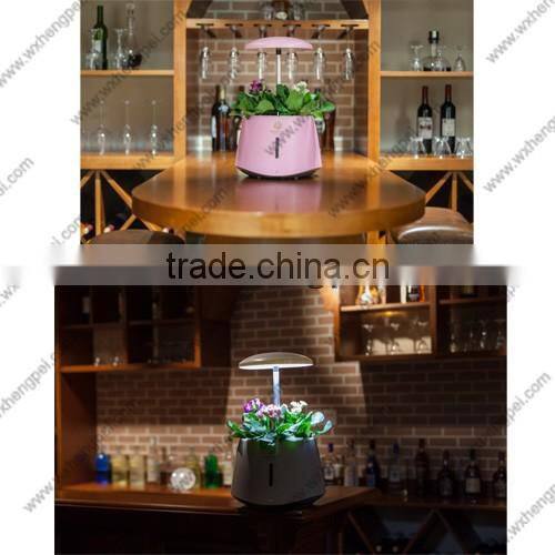 Mini hydroponic smart garden