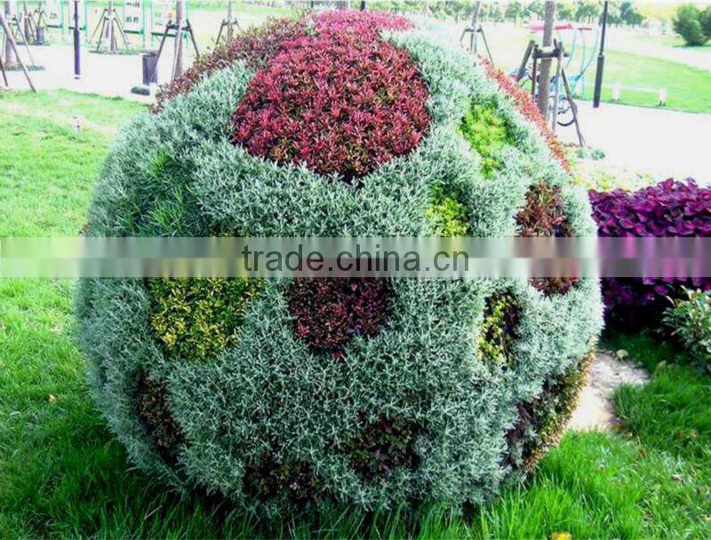 Garden Decorative Plastic Planter PP