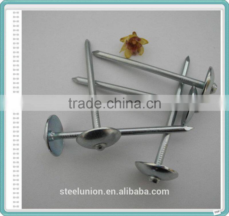 Hot Supply Galvanized Umbrella Head Roofing Nails