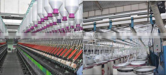 120D/2 100% Polyester Embroidery Floss