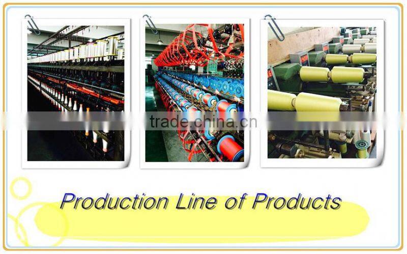 100% Polyester Embroidery Thread 75D/2, 120D/2, 150D/2, 250D/2, 300D/2