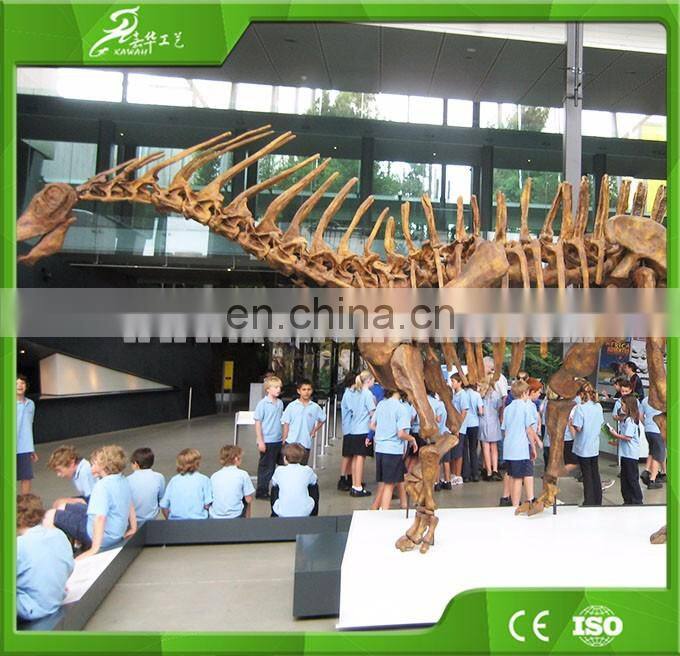 KAWAH Museum Artificial Educational Dinosaur Skeletons For Kids
