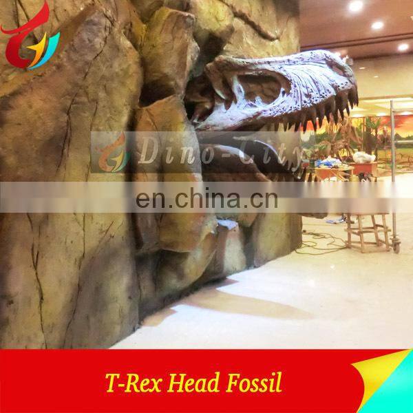 High Quantity Animal Skeletons Fossil In Big Discount