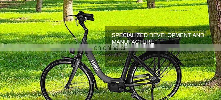 Customizable Electric Long Range Maximum 100KM Mountain Bike with LCD Display 100-240V Smart E-bicycle BEBFR26DM