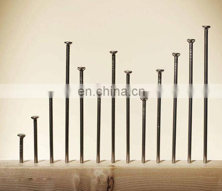 Iso Nail Manufacturer Supply High Quality Nailring Smooth Shank Steel Common Nail