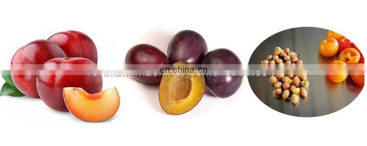 Automatic fruit stone extractor apricot and apple core removal machine.