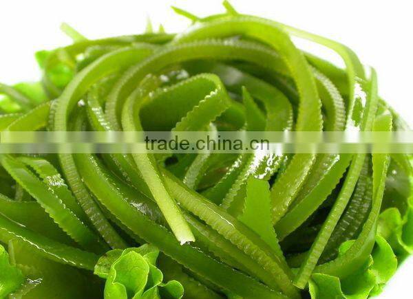 Shredded Brown Seaweed Supplement