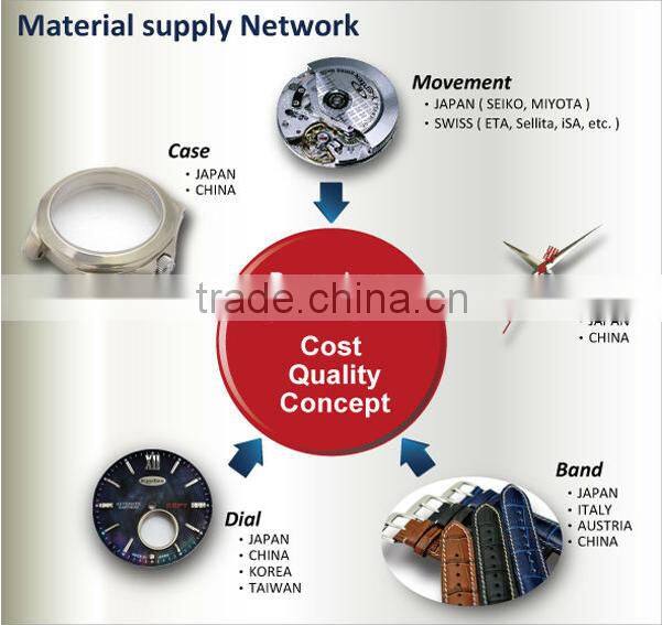 private label oem fashion luxury chinese wholesale automatic skeleton wristwatch man