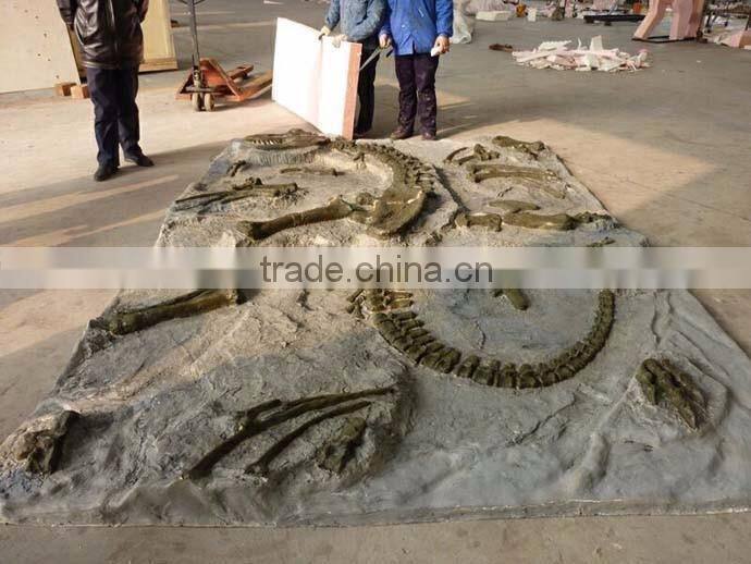 stegosaurus dinosaur fossils for sales