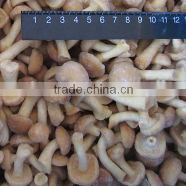 High Quality Top Quality Frozen Fresh Nameko
