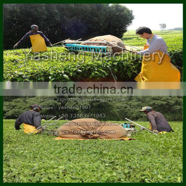 Hot Sale Two-man Tea Harvesting Equipment for Sale