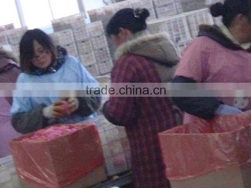 red fuji apple fresh fuji apple fresh red apple prices