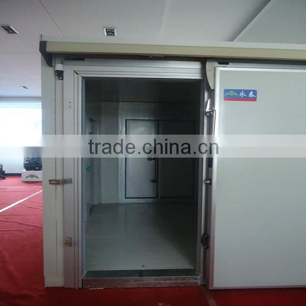 stainless steel frozen cold room door