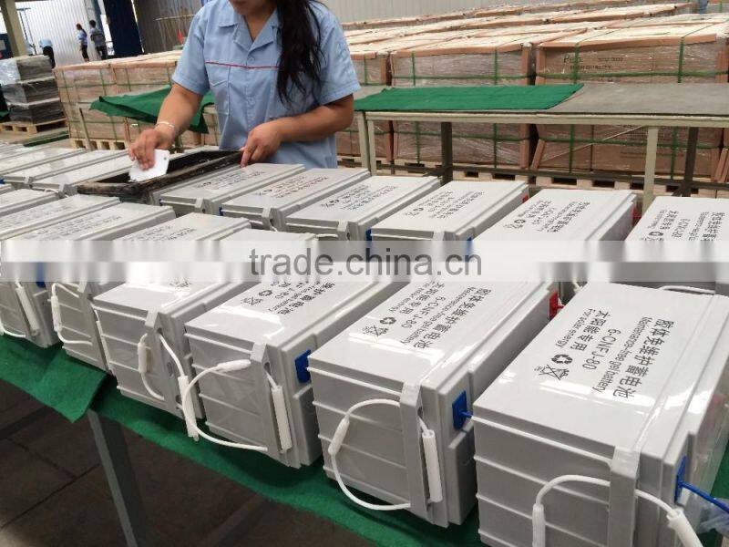 12V100Ah (6-EVFJ-100) EV GEL Battery