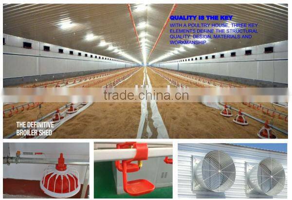 Hot Selling H Type Automatic Poultry Farm Layer Cage In Algeria