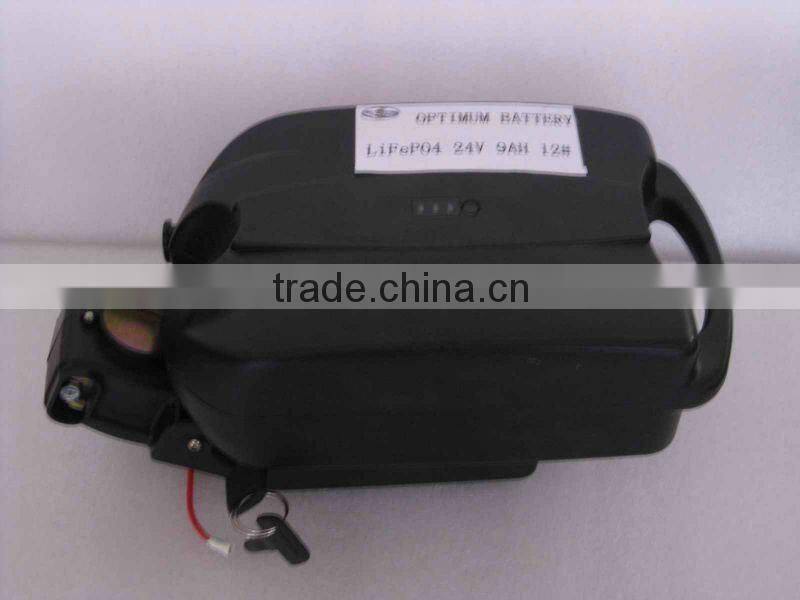 Frog Shell LiFePO4 24V 9Ah with High Quality