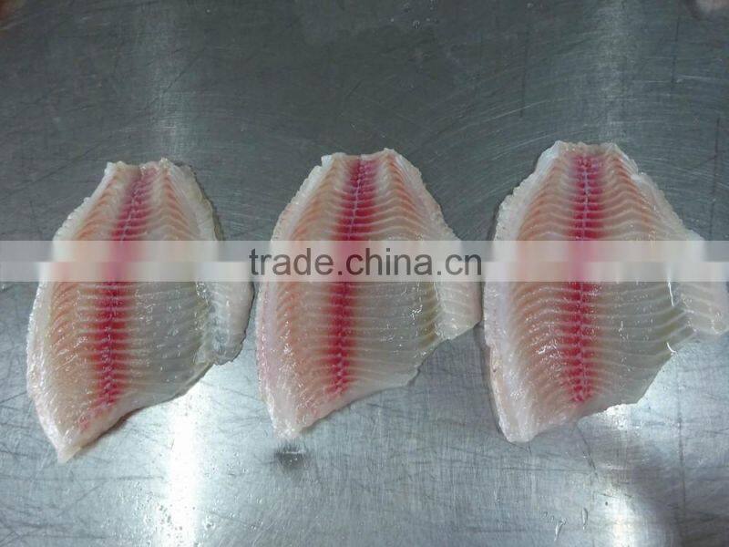 Frozen Tilapia Fillet