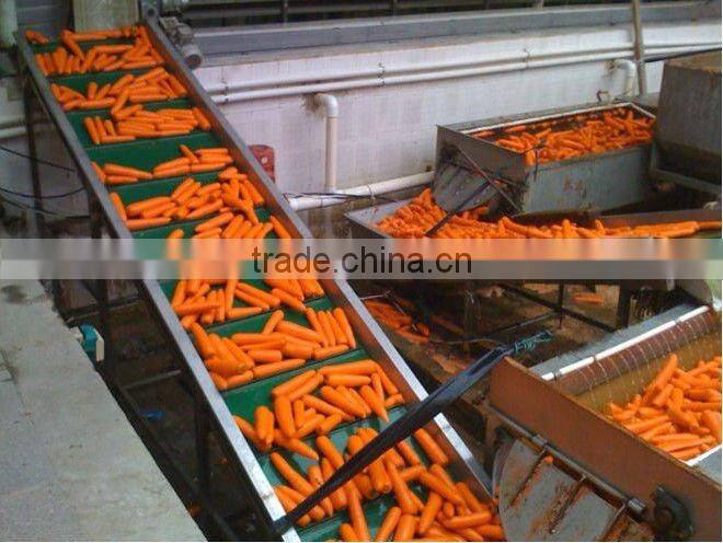 cheap carrots