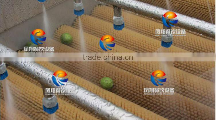 HP-360 powerful new product spray vegetable and fruit washing machine