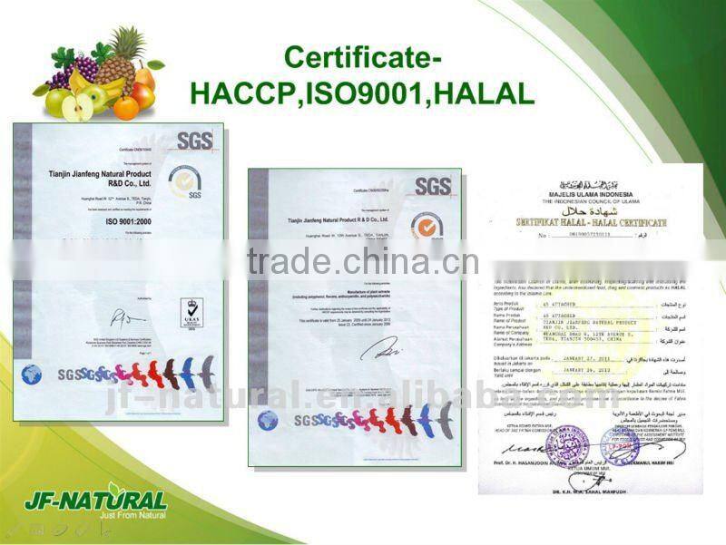 100% natural Hawthorn Powder fruit powder ISO, GMP, HACCP, KOSHER, HALAL certificated.