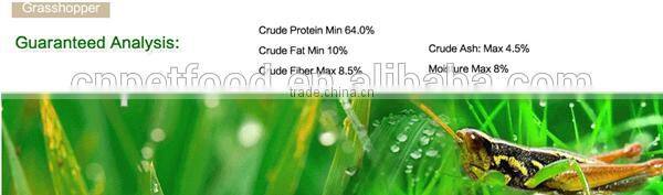 locust tub sanimal tortoise food feed