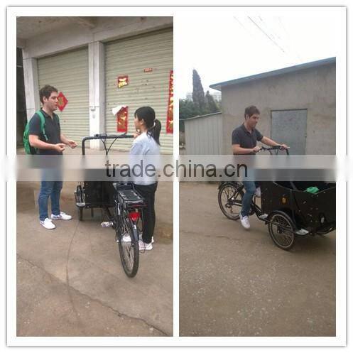 Three wheel triporteur electric cargo trike reverse trike for sale