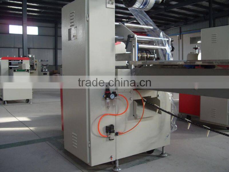 YP190-117 Servo automatic pillowed packing machine
