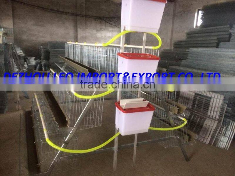 Design Layer Chicken Cage For Sale A-120
