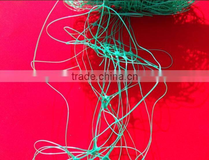 Plant climbing Support Net